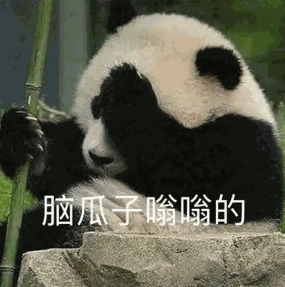 警惕這類隱形費(fèi)用！速看這份租車消費(fèi)提示→:商務(wù)車租車費(fèi)用